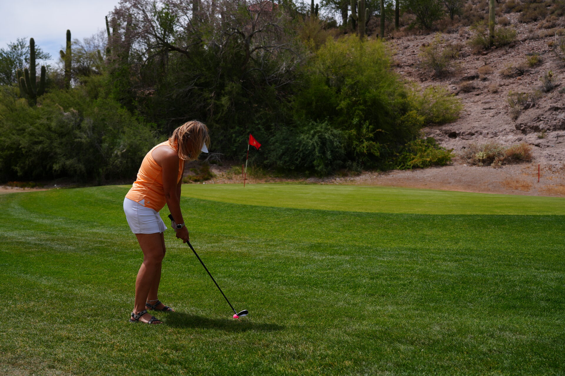 Golfer in an orange shirt chipping onto a green with saguaros on the hillside behind