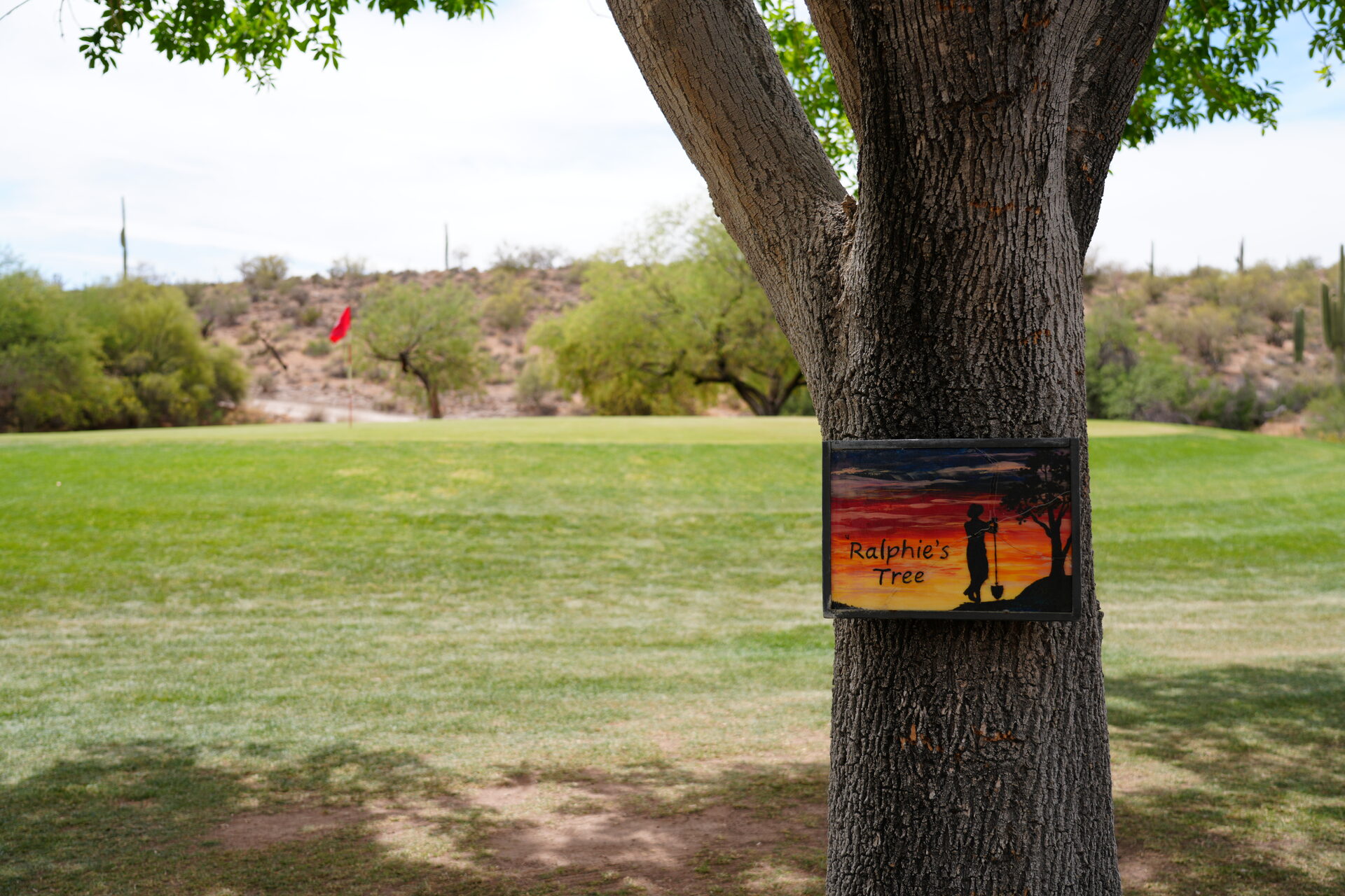 Ralphie's Tree sign mounted on a tree overlooking the fairway and saguaro hillside